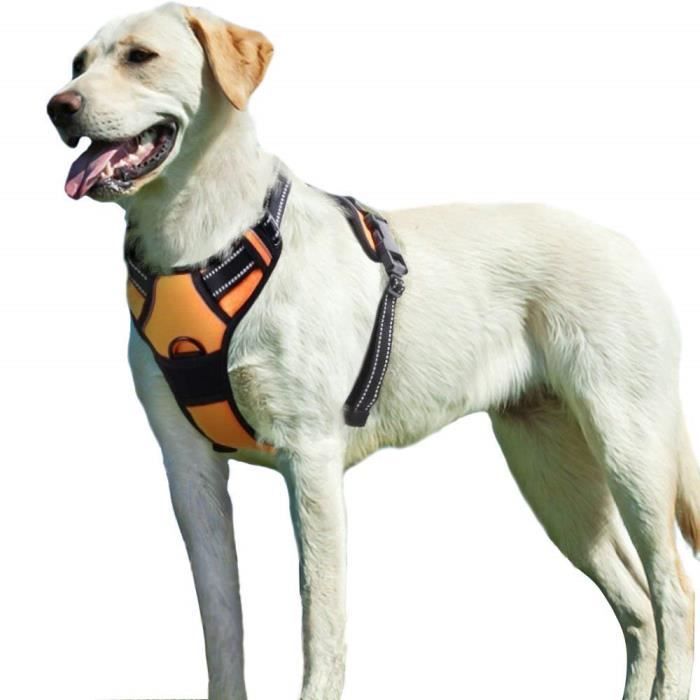 Lukovee Harnais réglable pour chien avec ceinture de sécurité en latex respirant Harnais de voyage pour chien de petite taille et moyenne taille