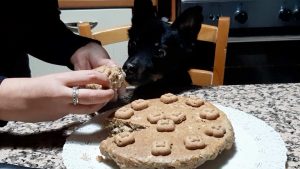 Gâteau maison pour chiens et humains: un dessert à déguster ensemble -VIDEO-