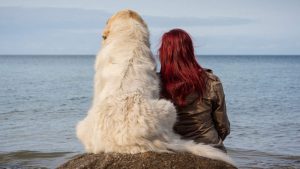 L'amour rend les chiens spéciaux: les études scientifiques le disent