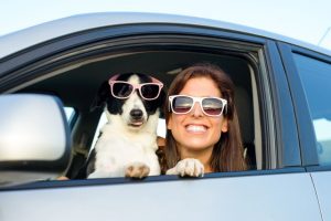 Les chiens ont-ils besoin de lunettes de soleil ? Tendance controversée ou nécessité ?