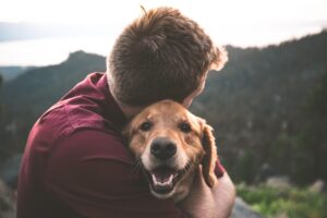 Quels sont les signes que votre chien vous aime ?