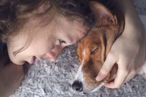 Chien mourant : Symptôme et comportement du chien en fin de vie