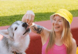 Le Renforcement Positif : La Clé d'une Éducation Canine Réussie